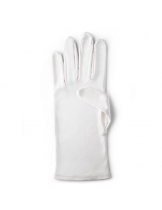 GUANTE MICROFIBRA MICRO-CLAIR