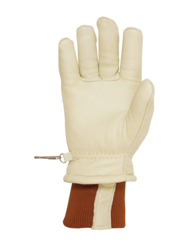 GUANTE FRIO 411CFV EN511 (6x10)